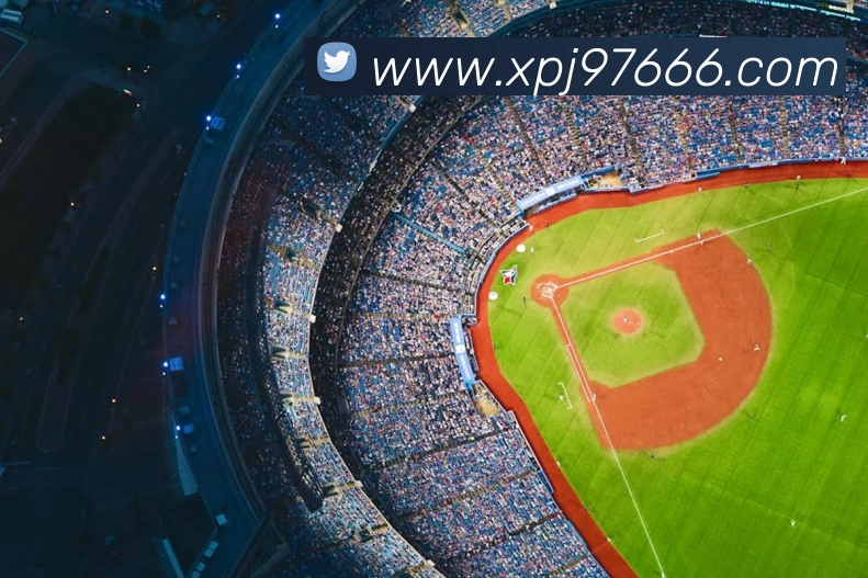 xpj全站App